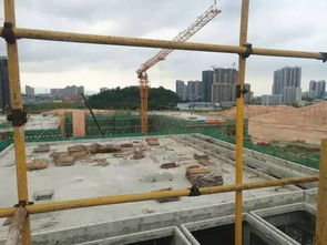 新客廳，新生活 鶴山城市建設(shè)工程施工引領(lǐng)未來社區(qū)新風(fēng)尚